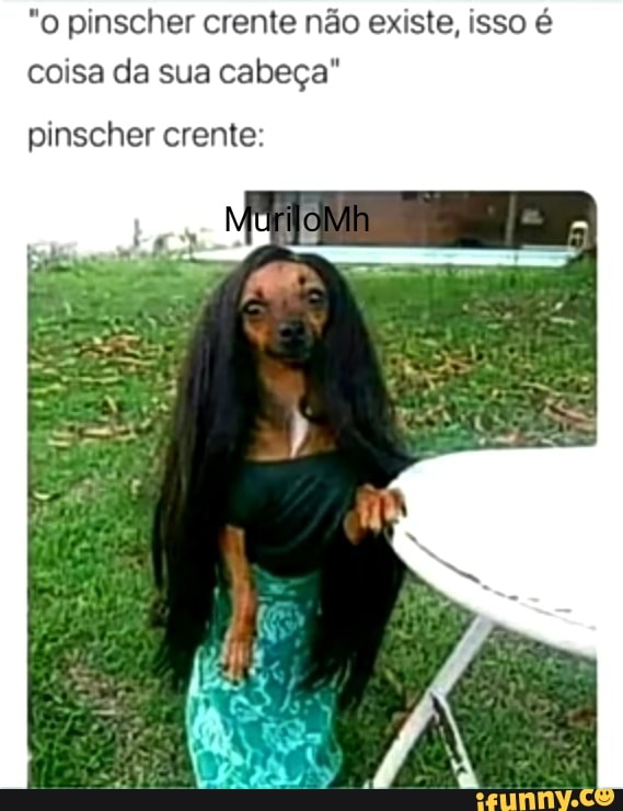 "o pinscher crente não existe, isso é coisa da sua cabeça"
pinscher crente: