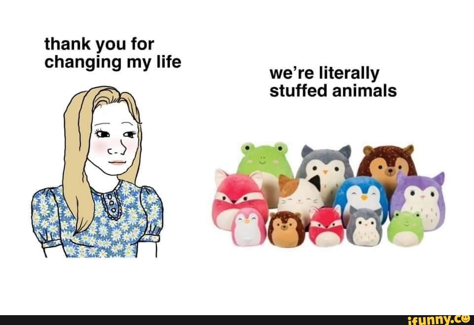 Thank you for changing my life we're literally stuffed animals iFunny )