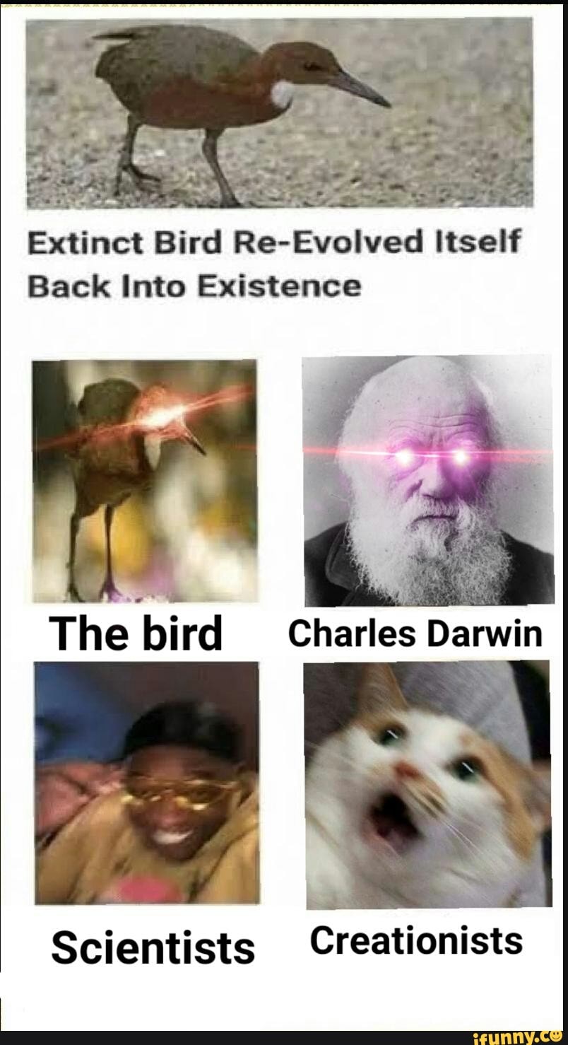 Extinct Bird Re Evolved Itself Back Into Existence Thé Bird Charles Darwin Scientists 