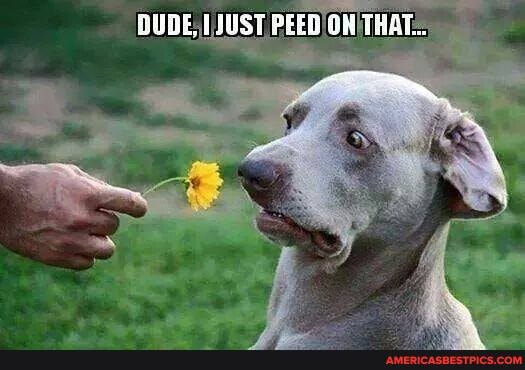 OUDE UJUST PEED OH THAT.