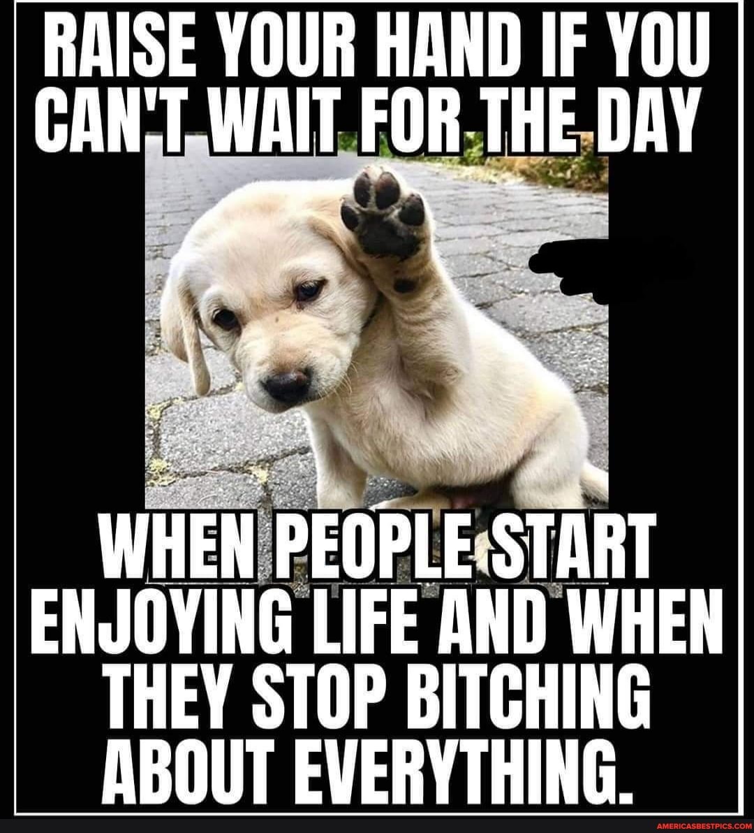 RAISE YOUR HAND IF YOU CAN'T WAIT FOR THE DAY
WHEN PEOPLE-START ENJOYING LIFE AND WHEN THEY STOP BITCHING ABOUT EVERYTHING.
