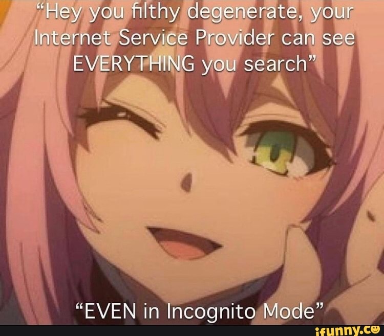 "Hey you filthy degenerate, you
Internet Service Provider can see
EVERYTHING you searen"
"EVEN in Incognito Mode"
