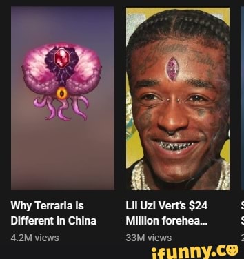 Why Terraria is Lil Uzi Vert's $24 Different in China Million forehea