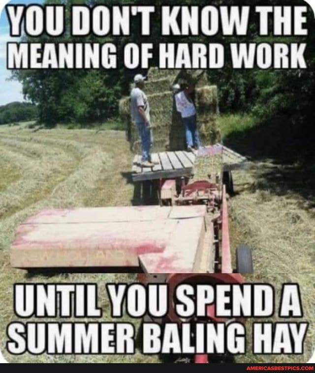 DON'T KNOW THE MEANING OF HARD WORK
Se