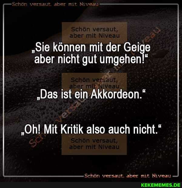 "Sie können mit der Geige aber nicht gut umgehen!"
"Das ist ein Akkordeon."
"Ohl Mit Kritik also auch nicht."