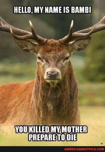 HELLO, MY NAME IS BAMBI
YOU KILLEG MOTHER PREPARE Dk
