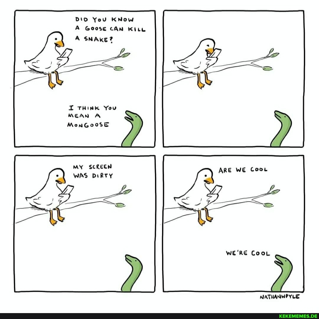 DIo You KNow
A Goose CAN KiLL A SNAKE?
I THink You
MEAN A MonGoose
MY SCREEN WAS DIRTY
ARE WE Coo.
WE'RE CooL
NATHANWPYLE