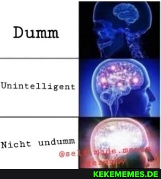Dumm
Unintelligent
Nicht undumm