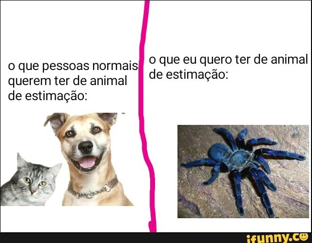 o que eu quero ter de animal
de estimação:
o que pessoas normais)
querem ter de animal
de estimação: