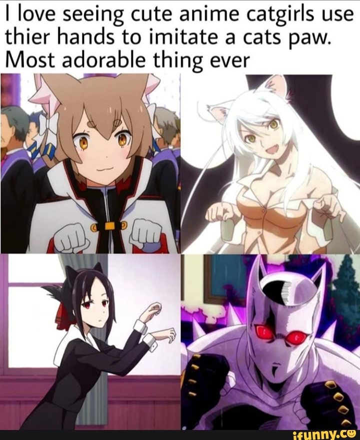 I love seeing cute anime catgirls use thier hands to imitate a cats paw.
Most adorable thing ever
