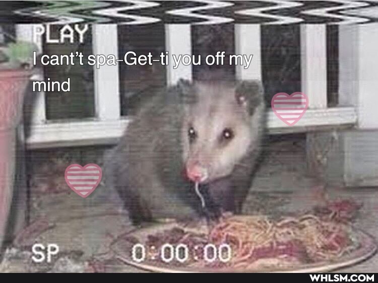 PLAY
{canttspa Get ti you off my mind
SP OO