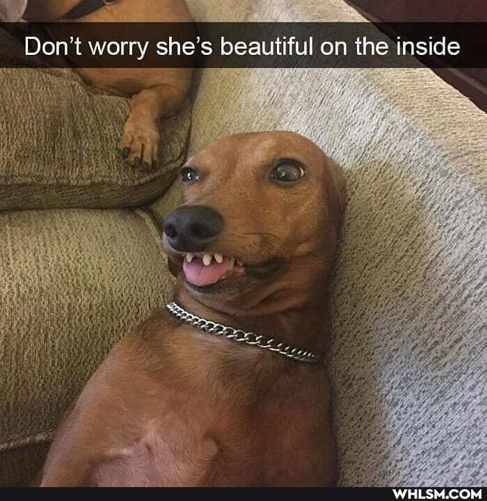 Don't worry she's beautiful on the inside