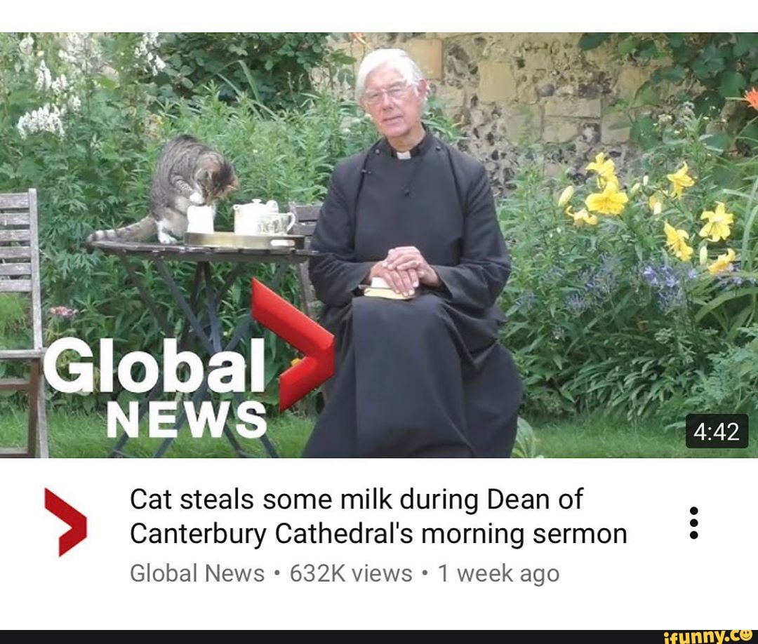 News Cat Steals Some Milk During Dean Of Canterbury Cathedral S Morning