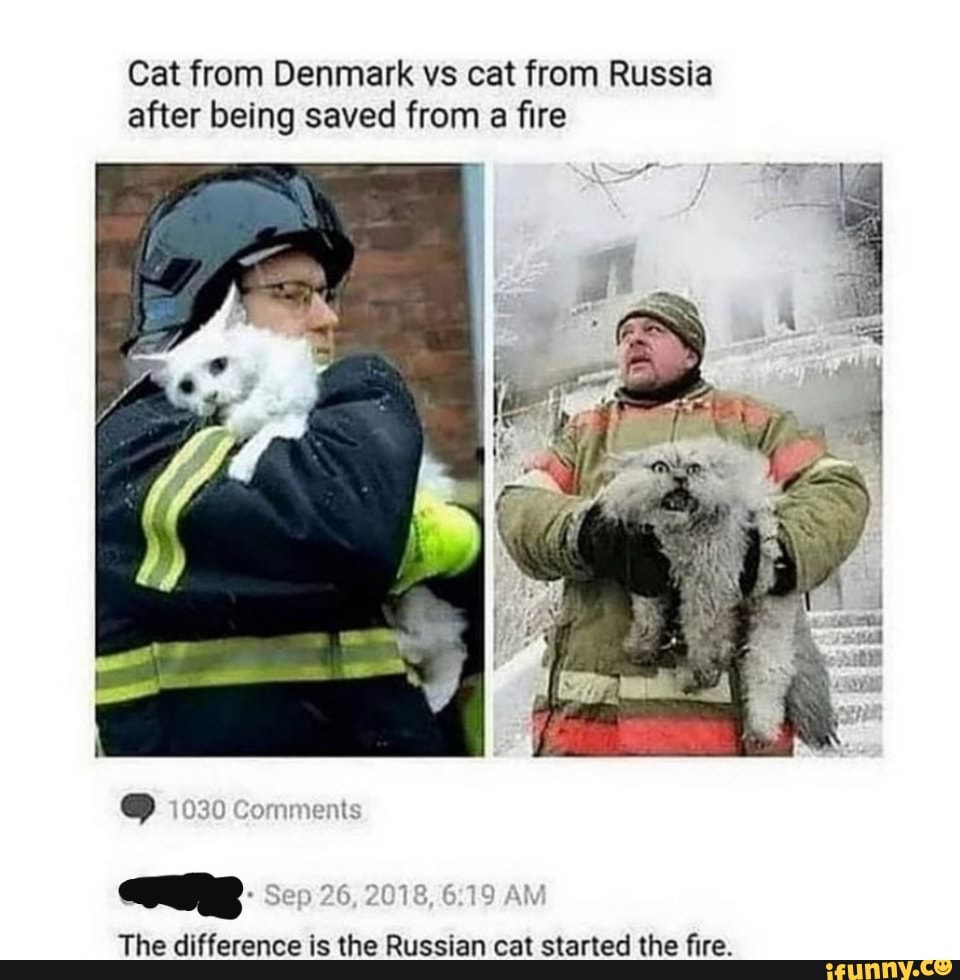 Cat from Denmark vs cat from Russia after being saved from a fire
C) 1630 Conments
Sap 28, 2018, 6.19
The difference is the Russian cat started the fire.
