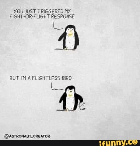 Freeze! - YOU JUST TRIGGERED MY FIGHT-OR-FLIGHT RESPONSE BUT I'M A ...