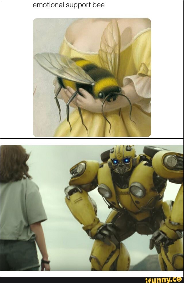 emotional support bee