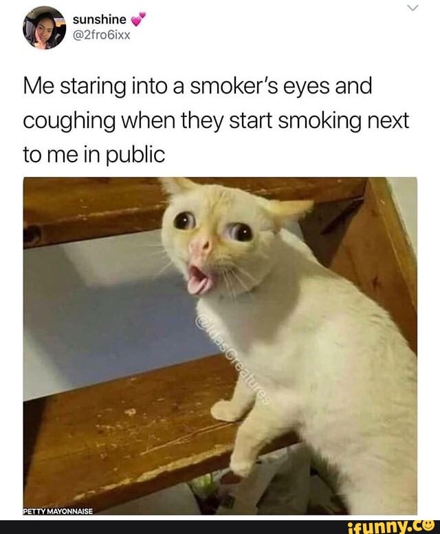 No ads sunshine 2froGixx Me staring into a smoker's eyes and coughing when they start