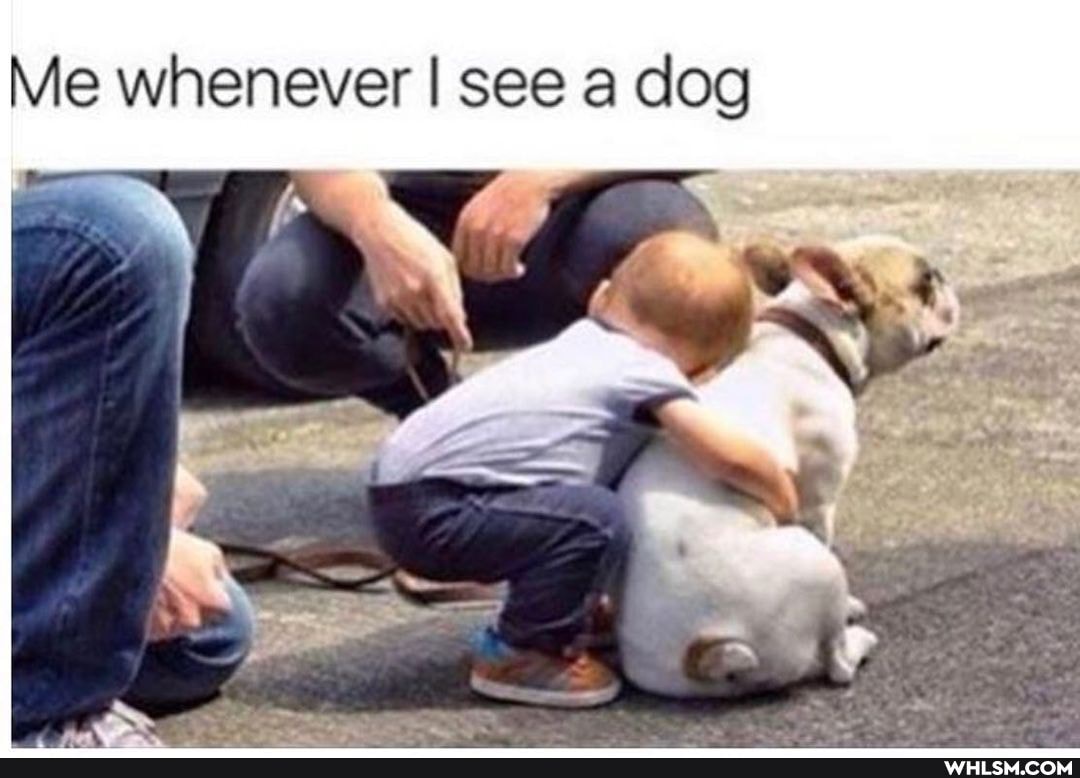 Me whenever I see a dog