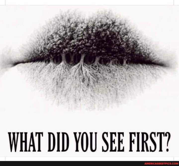 WHAT DID YOU SEE FIRST?