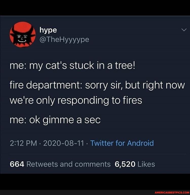hype v
TheH
me: my cat's stuck in a tree!
fire department: sorry sir, but right now we're only responding to fires
me: ok gimme sec
PM - 2020-08-11 - Twitter for Android
664 Retweeis and comments 6,520 Likes