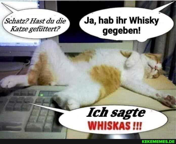 die Ja, hab ihr Whisky
Ich sagte
WHISKAS
Schatz? Hast du die
Katze gefüttert? gegeben!