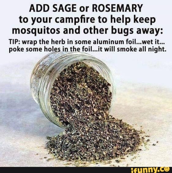 ADD SAGE or ROSEMARY to your campﬁre to help keep mosquitos and other