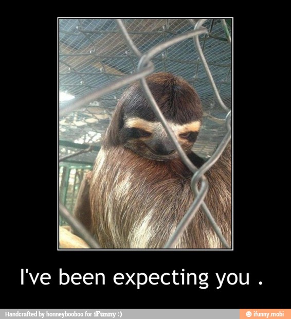 I've been expecting you - I've been expecting you .