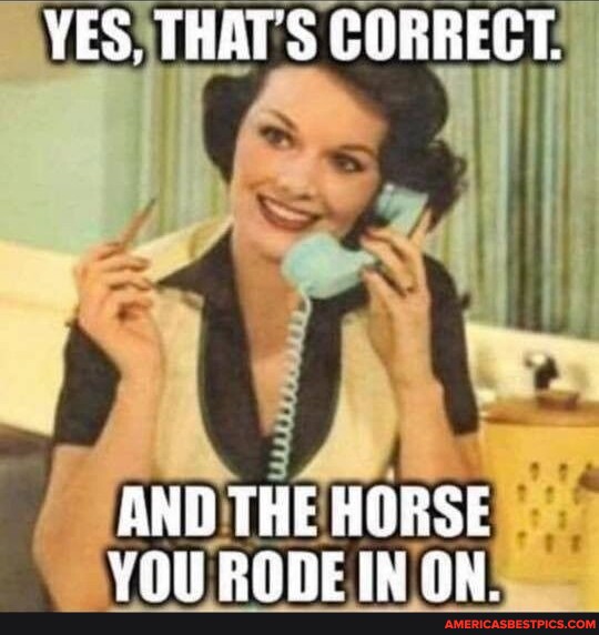 YES. THATS CORRECT. AND THE HORSE YOU RODE IN ON. America’s best pics