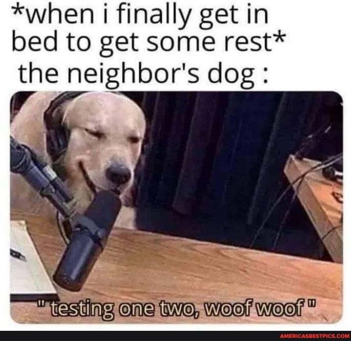 *when i finally get in bed to get some rest*
the neighbor's dog :