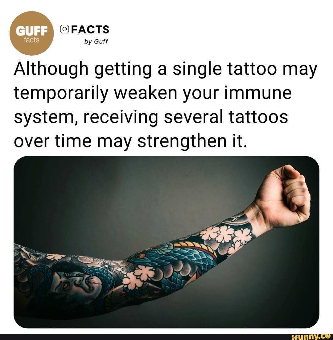 FACTS By Guff Although Getting A Single Tattoo May Temporarily Weaken   762af5f7cc5db197ca196265f9346f545173f8d04cdf0ac1340c781eb72c9c2a 1 