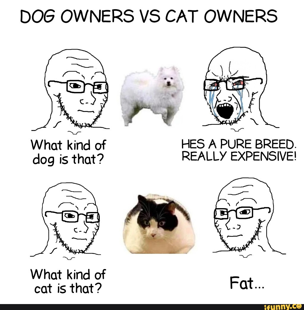 DOG OWNERS VS CAT OWNERS What Kind Of HES A PURE BREED. Dog Is That ...