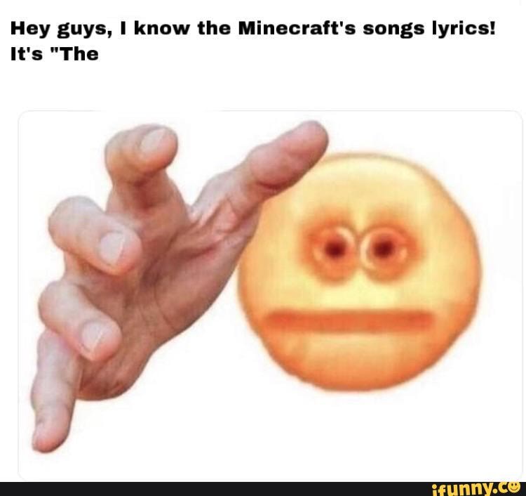 Hey guys, I know the Minecraft's songs lyrics!