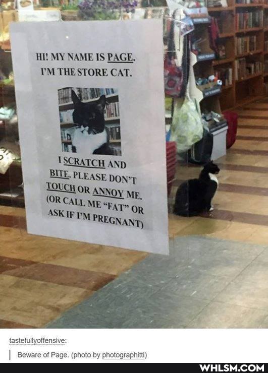 HI! MY NAME IS PAGE.
THE STORE CAT.
'SCRATCH AND BITE. PLEASE DON*T UCH OR ANN Mp,
(OR CALL OR ASKIF PM PREGN ANT)
tastefullyoffensive: