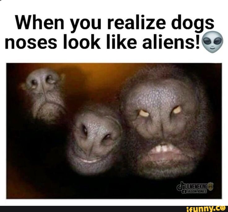 My pops once said "a shaved vagina is a busy vagina" "Grass don't grow