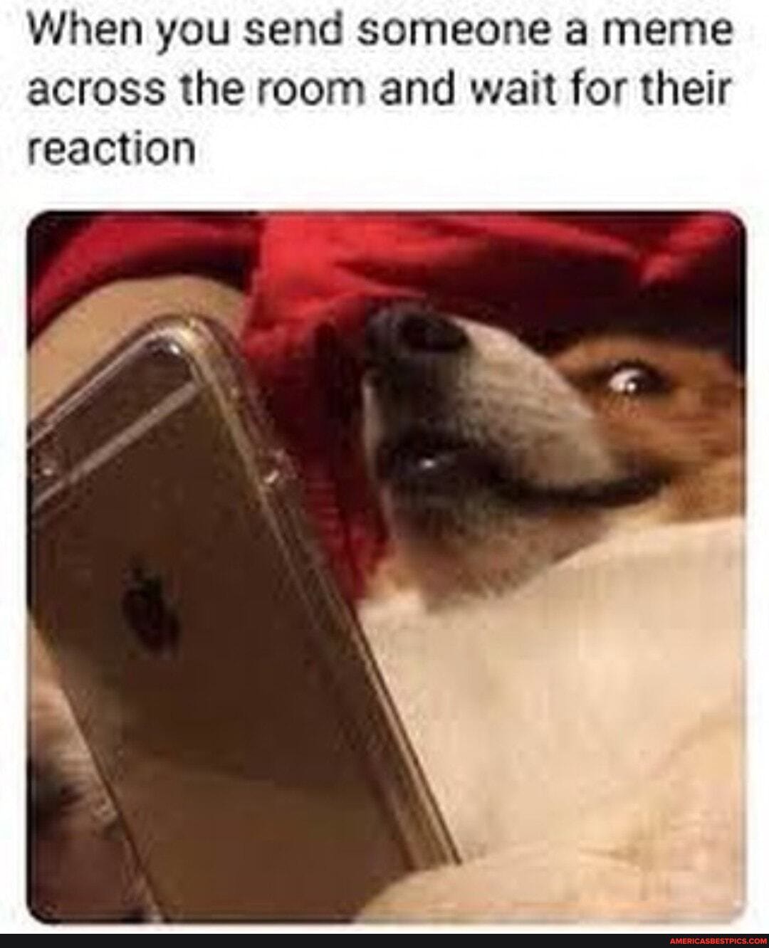 When you send someone a meme across the room and wait for their reaction