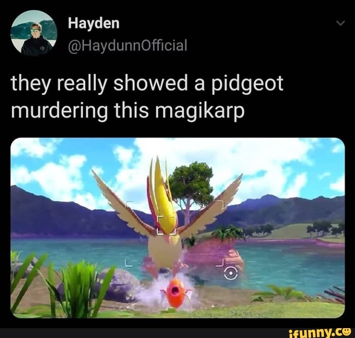 they really showed a pidgeot
murdering this magikarp