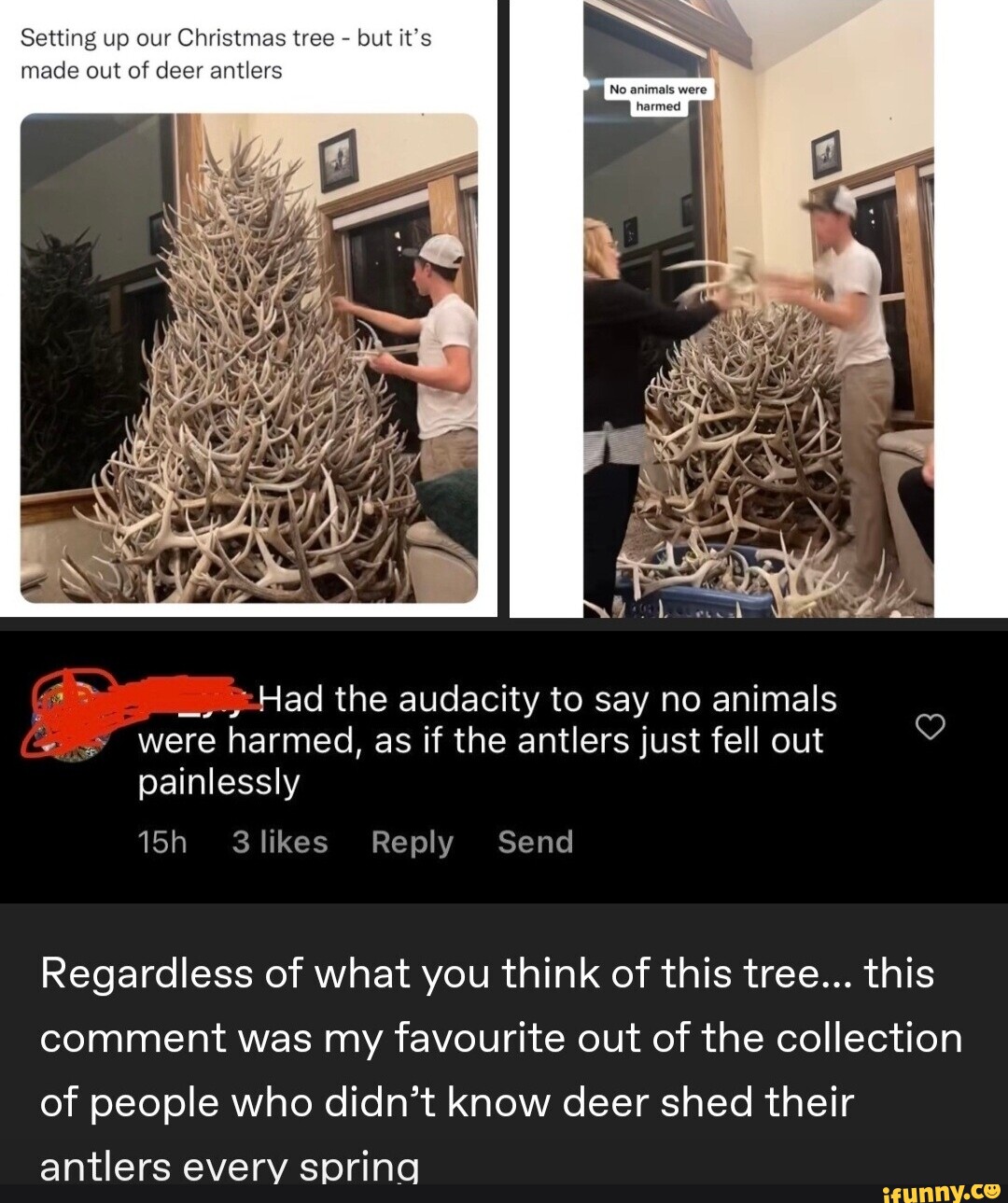 Setting up our Christmas tree but it's made out of deer antlers No animals were Had the