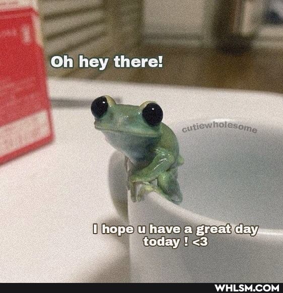 Oh hey there!
i) hape u have a great day today <3