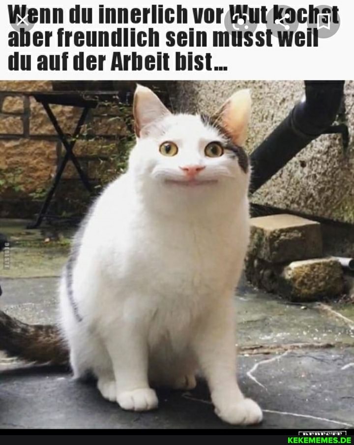 Wenn du innerlich vor 4uteéachkst
aber freundlich sein musst weil
I
du auf der Arbeit hist...