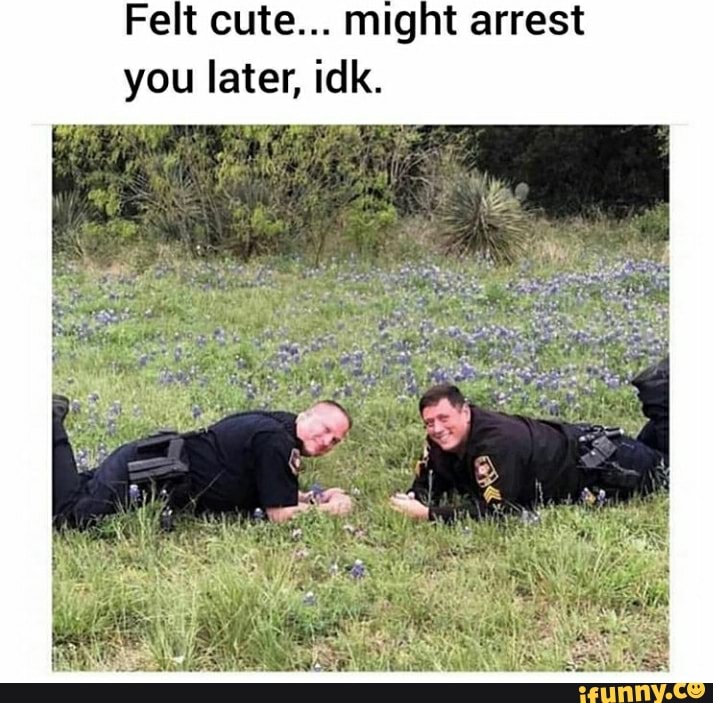 Felt cute... might arrest you later, ilk.