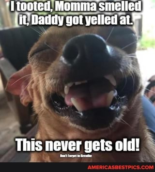 [tooted) Momma smelied
_lit Baddy got yelled at
This never gets old!