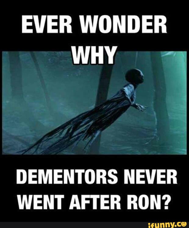 I like to go to the cinema. фразовые глаголы в английском look. Looking for фразовый глагол. I went to the after. Go cat the cat.