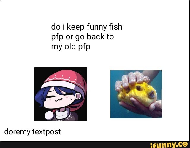 Do i keep funny fish pfp or go back to my old pfp - iFunny :)