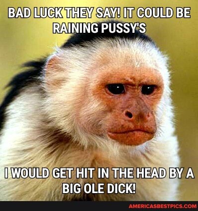 BAD LUCK THEY SAY! IT COULD BE RAINING PUSSY'S
"TWOULD GET HIT IN THE HEAD BY A BIG OLE DICK!