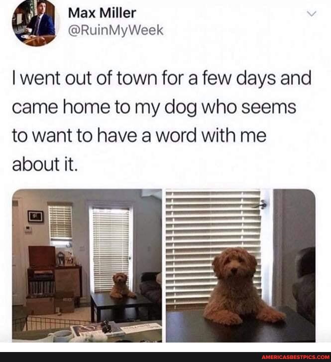 went out of town for a few days and came home to my dog who seems to want to have a word with me about it.