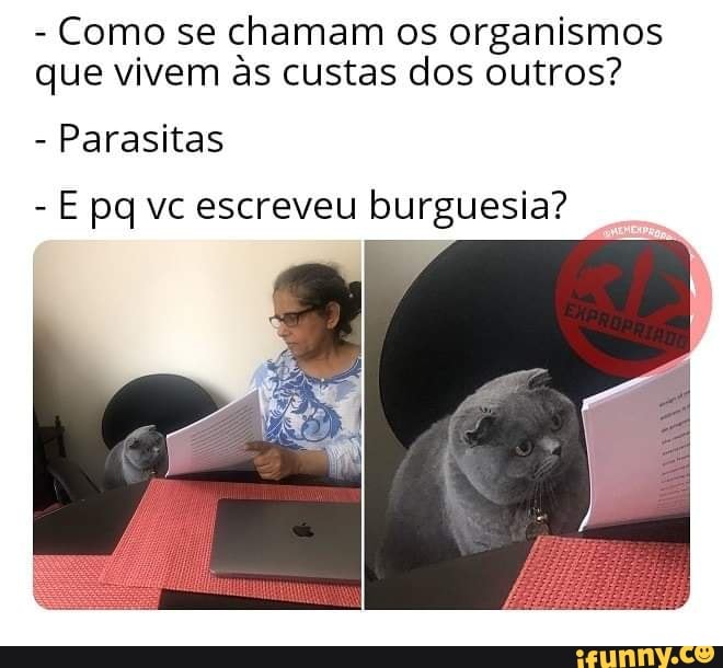 Como Se Chamam Os Habitantes De Santarém