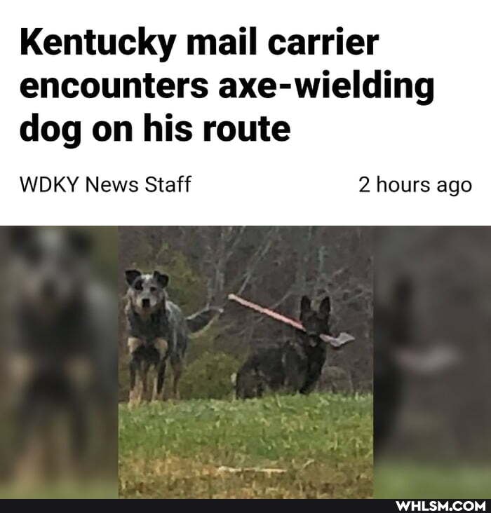 Kentucky mail carrier encounters axe-wielding
dog on his route
WDKY News Staff 2 hours ago