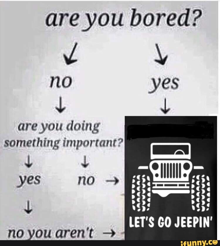 are you bored?
Y
no
y
are you doing
something important?
yes
y