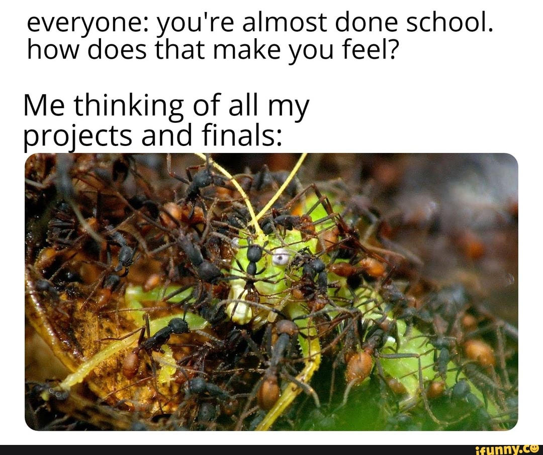 Everyone You Re Almost Done School How Does That Make You Feel Me