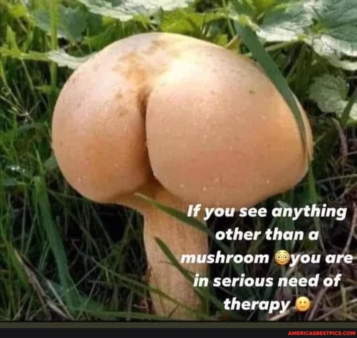 If you see anything other than a mushroom you are in serious need of
therapy